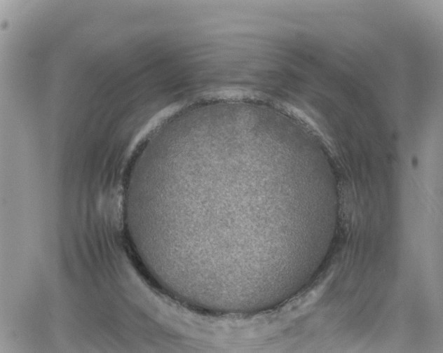 X0000062170016200512121252