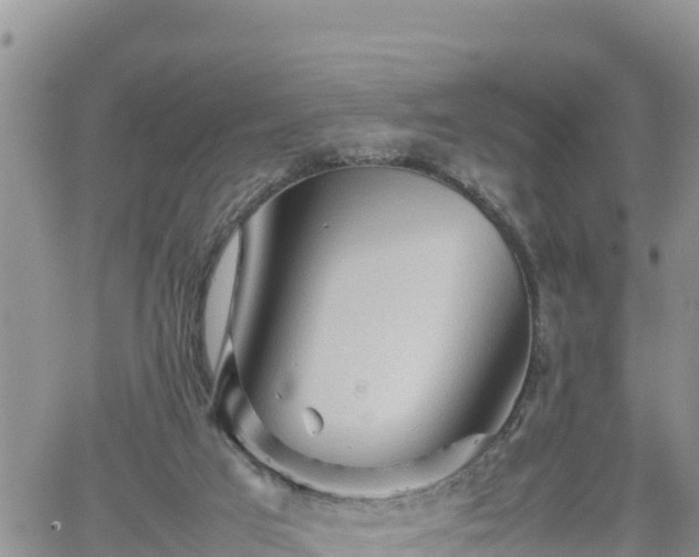 X0000062170017200512121252