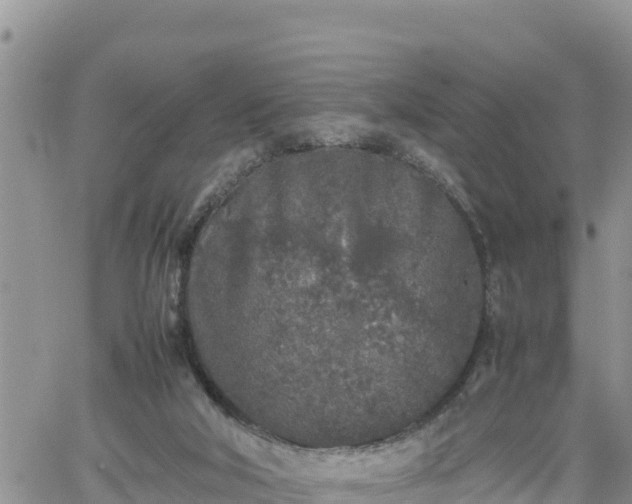 X0000062170018200512121252