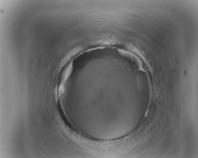 X0000062170019200512121252