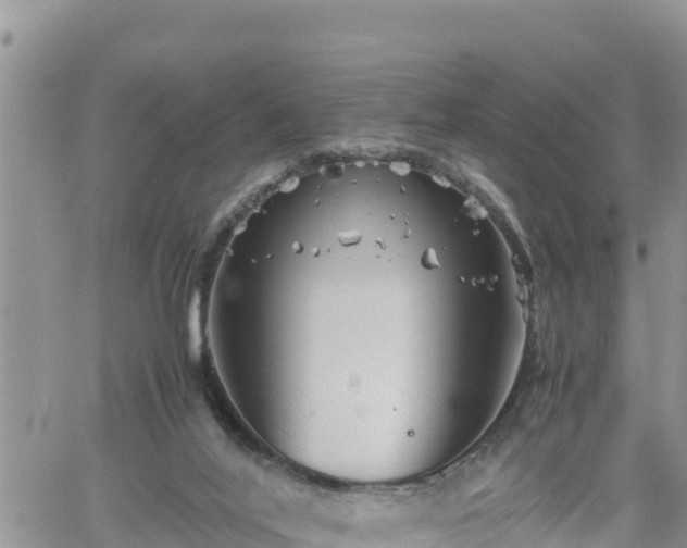 X0000062170020200512121252