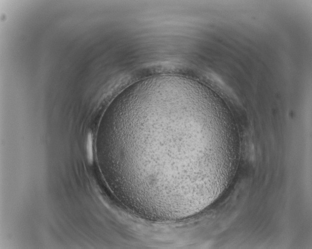 X0000062170022200512121252