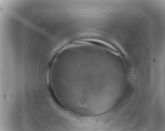 X0000062170023200512121252