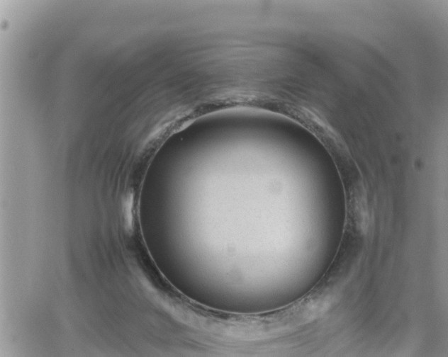 X0000062170024200512121252