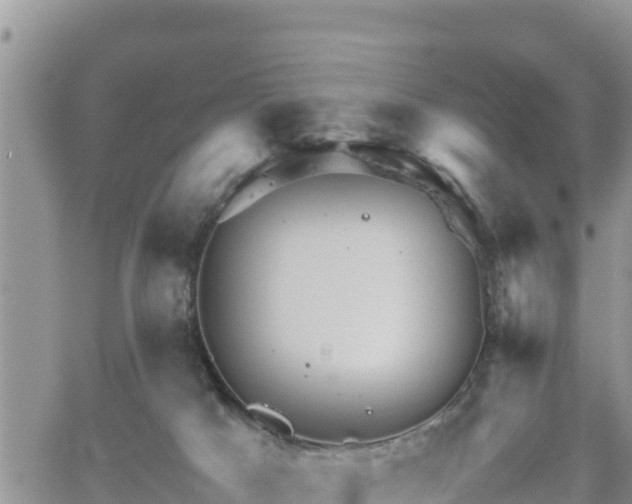 X0000062170025200512121252