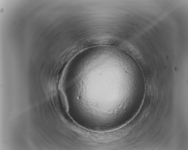 X0000062170026200512121252