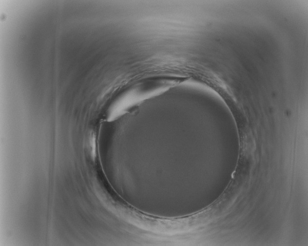 X0000062170027200512121252