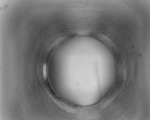 X0000062170028200512121252