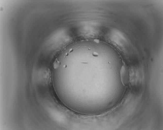 X0000062170029200512121252