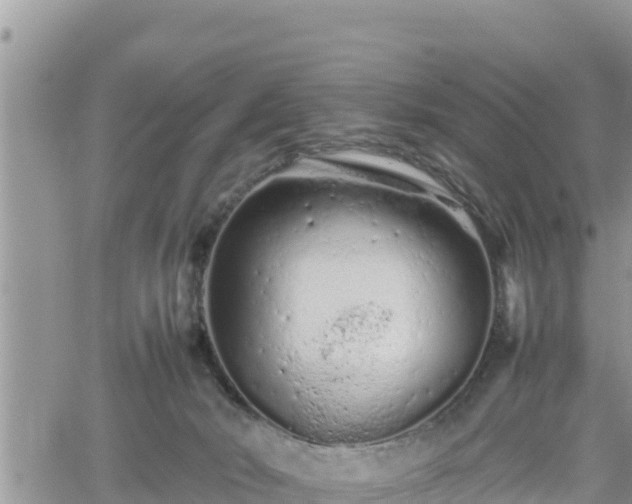 X0000062170030200512121252