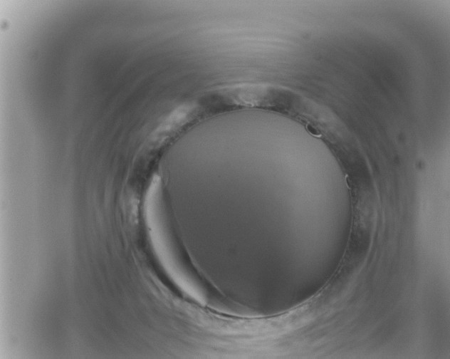 X0000062170031200512121252