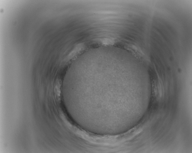 X0000062170032200512121252