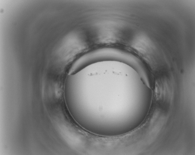 X0000062170033200512121252