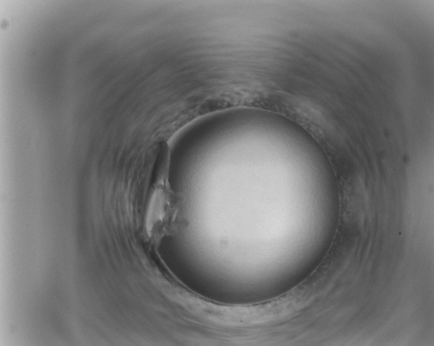 X0000062170034200512121252