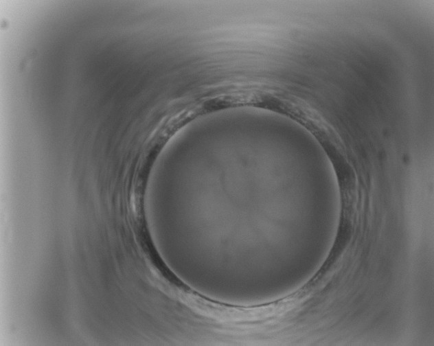 X0000062170035200512121252