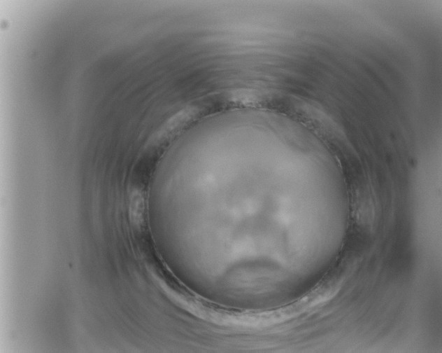 X0000062170036200512121251