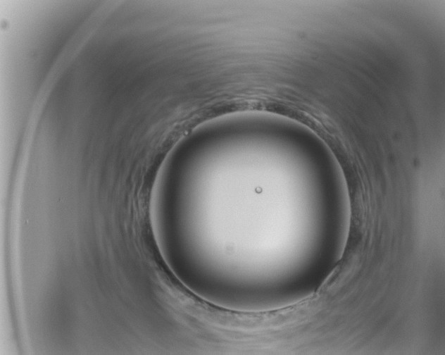 X0000062170037200512121251