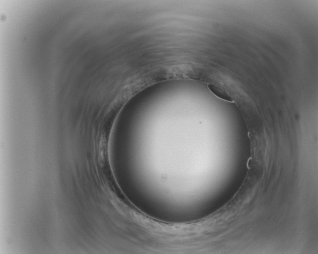 X0000062170038200512121251