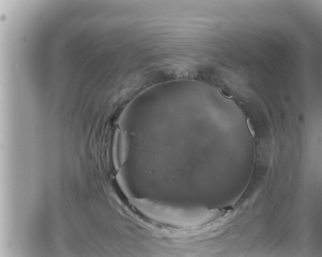 X0000062170039200512121251