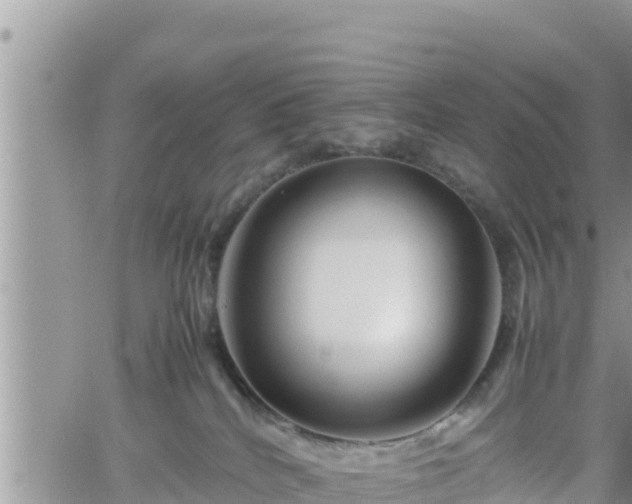 X0000062170040200512121251