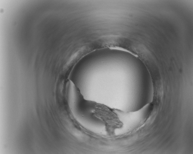 X0000062170041200512121251