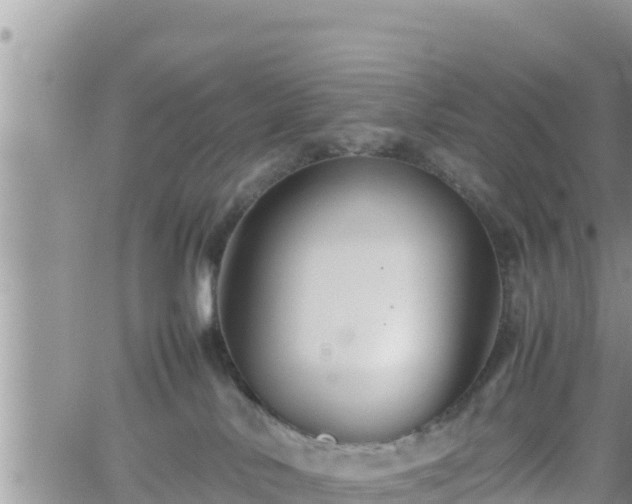 X0000062170042200512121251