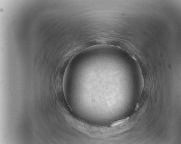 X0000062170043200512121251