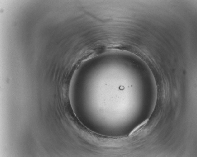 X0000062170044200512121251