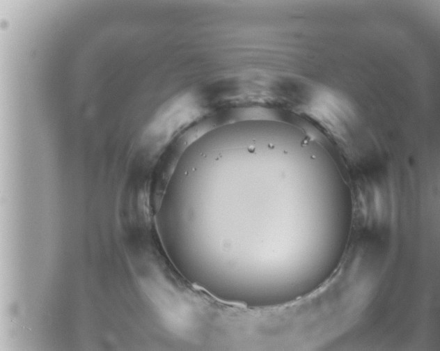 X0000062170045200512121251