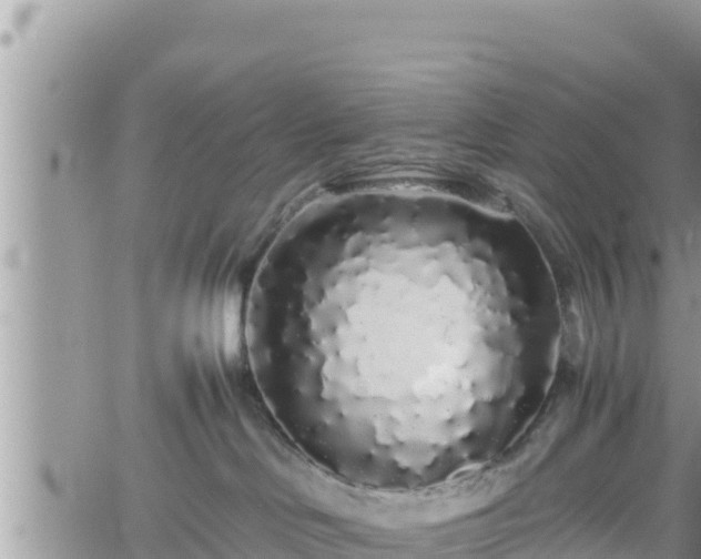 X0000062170046200512121251