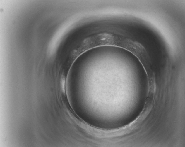 X0000062170047200512121251