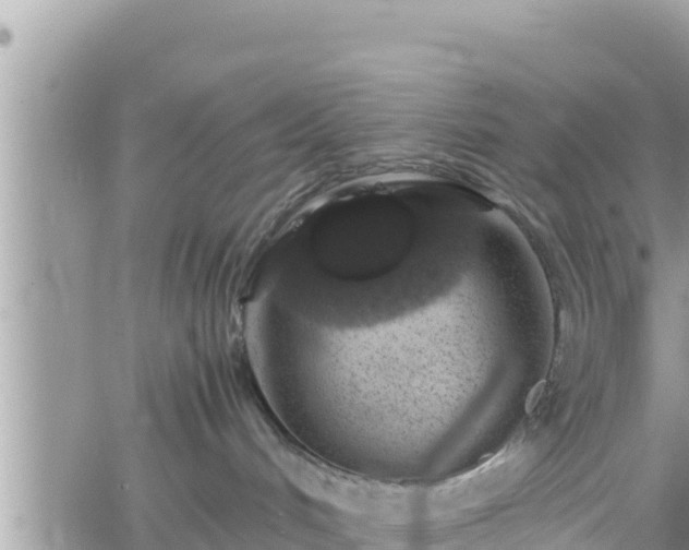 X0000062170048200512121251