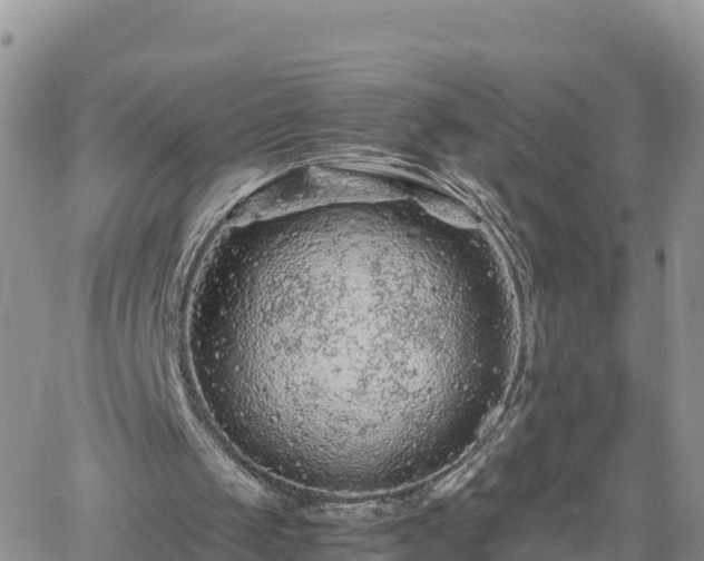 X0000062170049200512121251