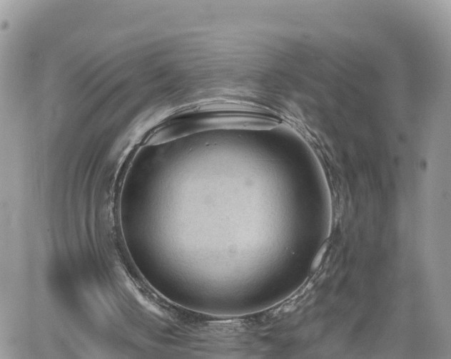 X0000062170050200512121251