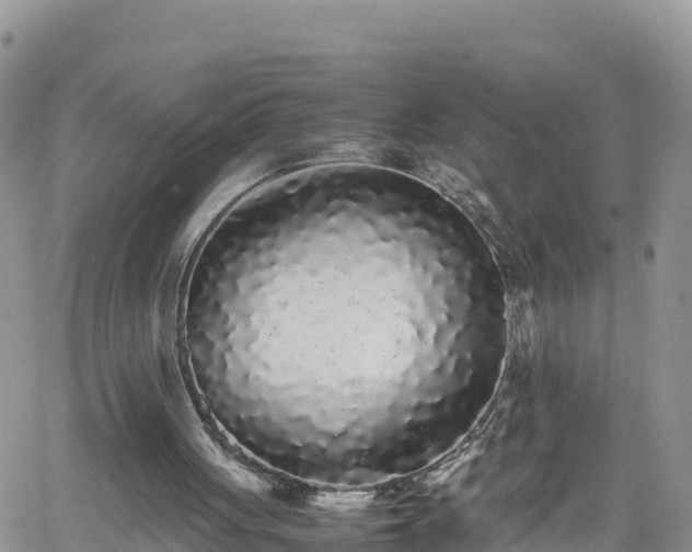 X0000062170051200512121251