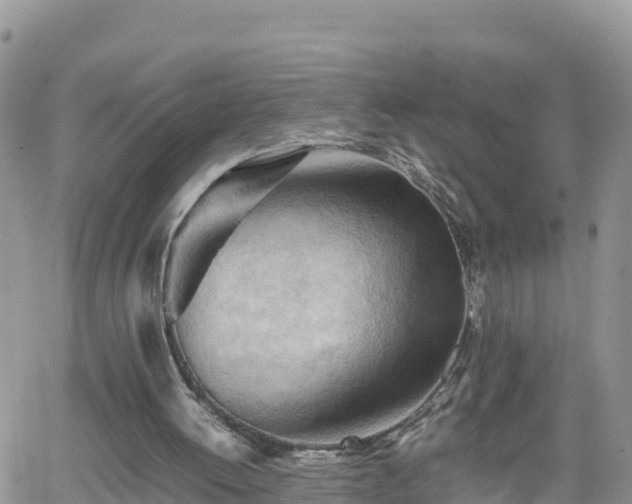 X0000062170052200512121251