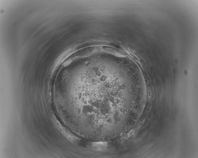 X0000062170053200512121251