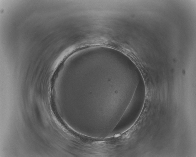 X0000062170054200512121251