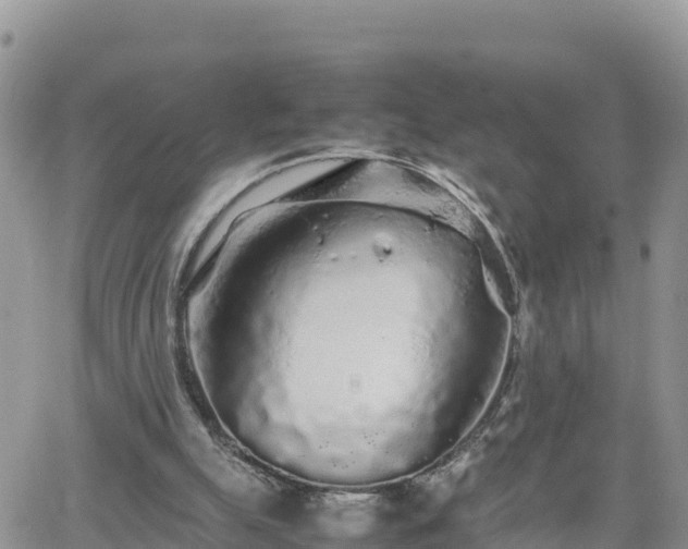 X0000062170055200512121251