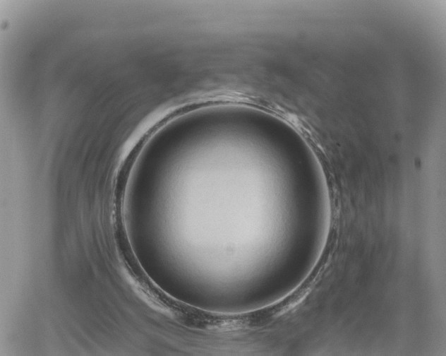 X0000062170056200512121251