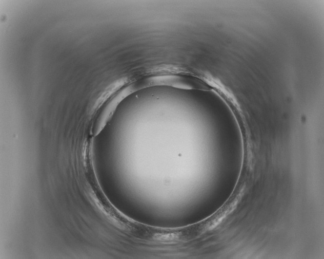 X0000062170057200512121251