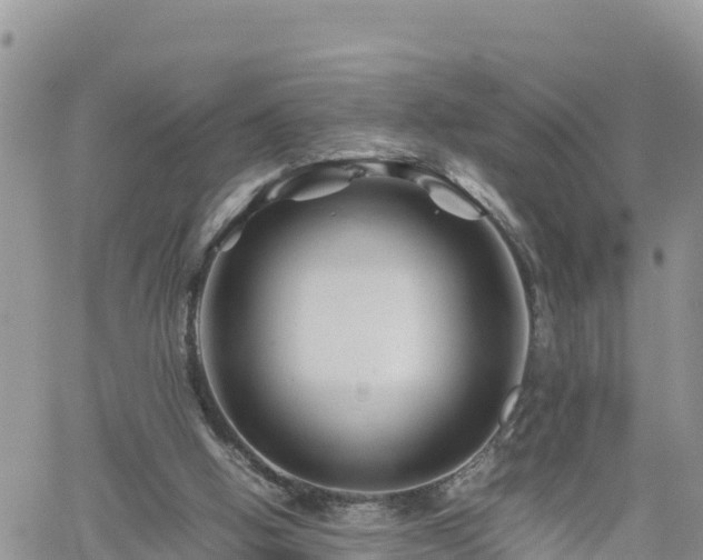 X0000062170058200512121251