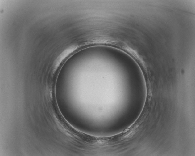 X0000062170060200512121251