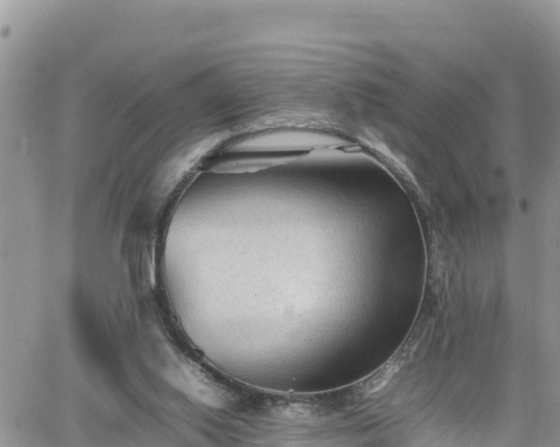 X0000062170062200512121251