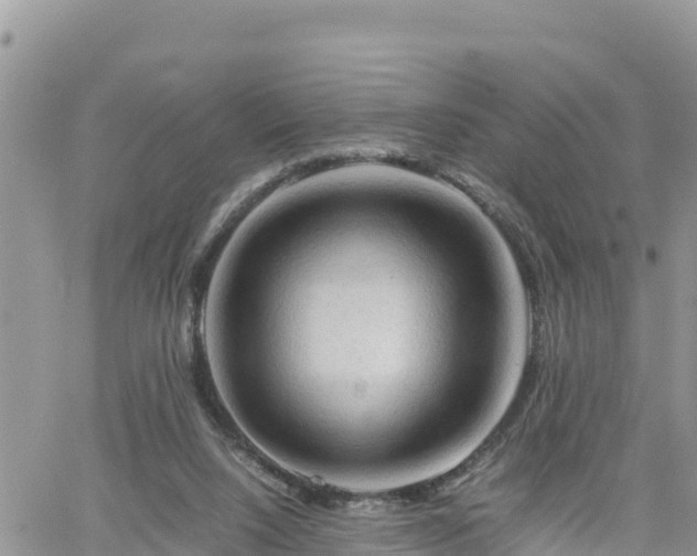 X0000062170064200512121251