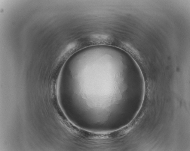 X0000062170065200512121251