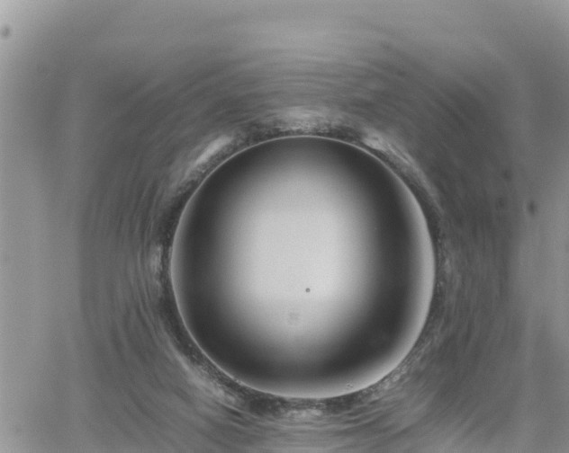 X0000062170066200512121251