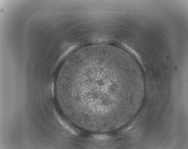 X0000062170067200512121251