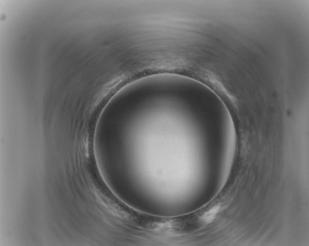 X0000062170068200512121251