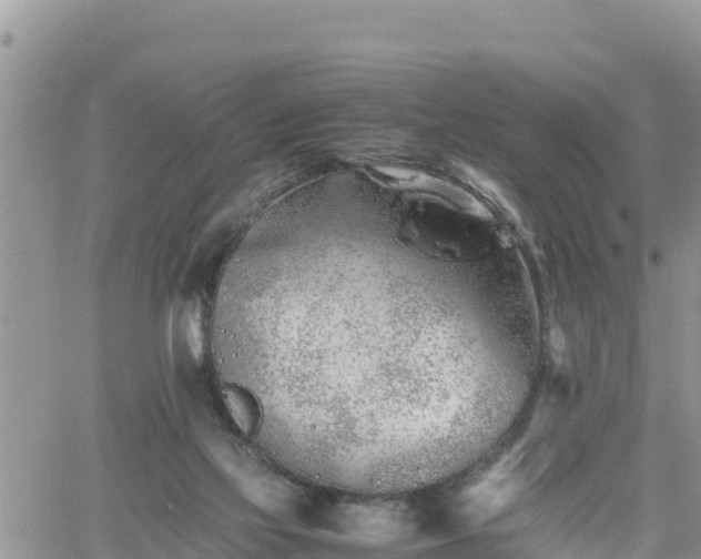 X0000062170069200512121251